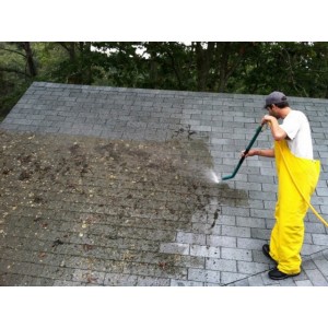 Как избавиться от мха на крыше?