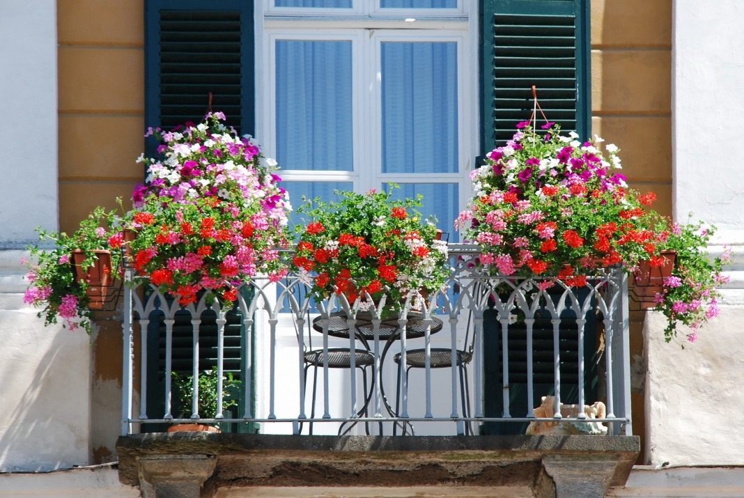 Цветы на балконе - красиво и оригинально