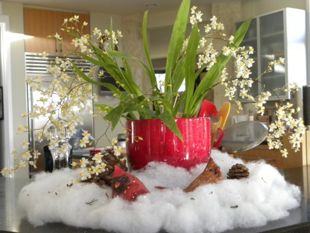 Украшение комнатных растений к новому году и рождеству