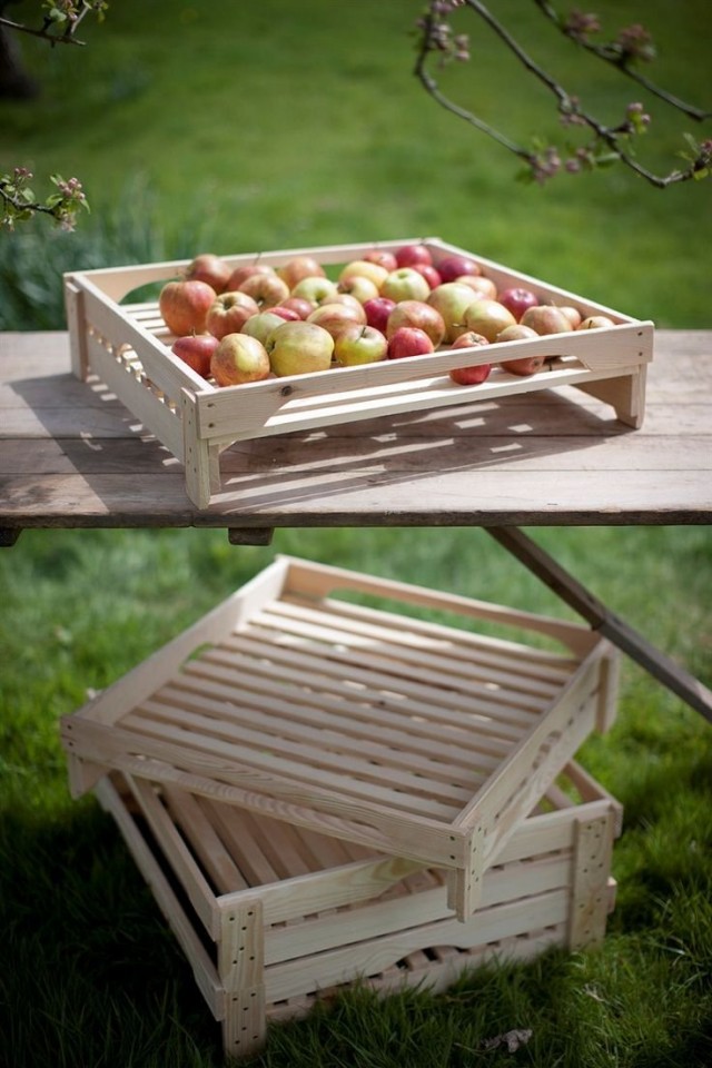 Сортировка собранного урожая яблок перед хранением