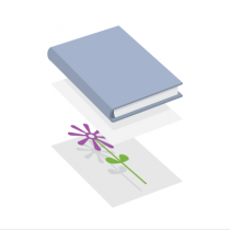 Уложите растение между двумя листами бумаги и прижмите книгой