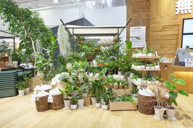 Павильон продаж комнатных растений в торговом центре