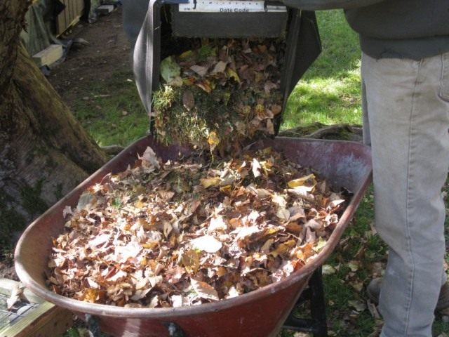Сбор и подготовка опавшей листвы к компостированию