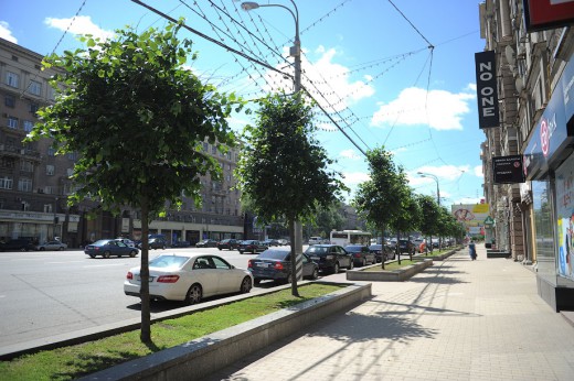 Москва, Озеленение Кутузовского проспекта