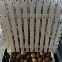 Контейнер для хранения картофеля