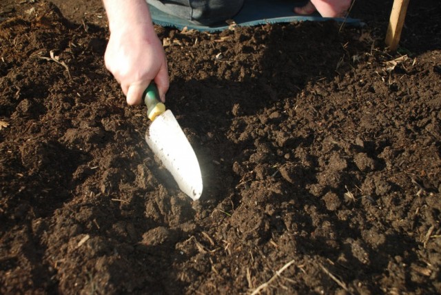 Заготовкой компонентов для почвосмесей лучше заняться с осени