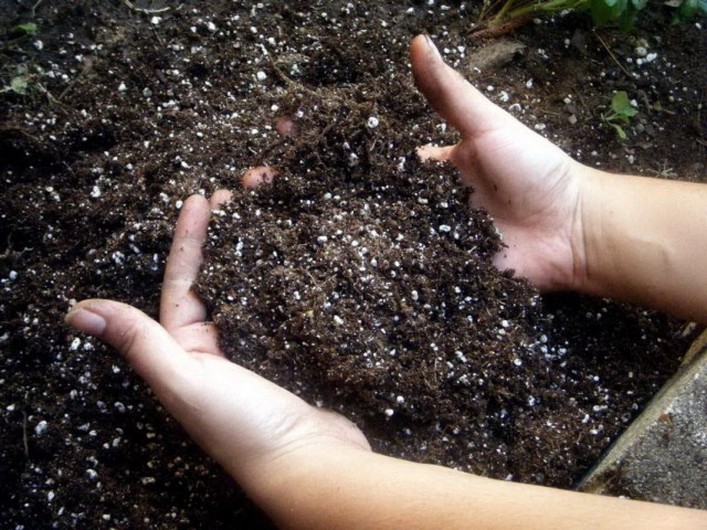 Определение кислотности почвы и её раскисление 