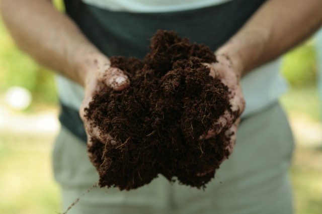 Субстрат из кокосового волокна также поможет улучшить структуру почвы